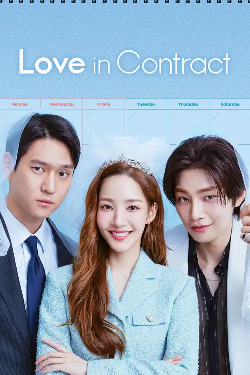Download Love in Contract (Season 1) Dual Audio {Hindi Korean} K Drama Series 480p 720p & 1080p WEB DL 5 love in contract season 1