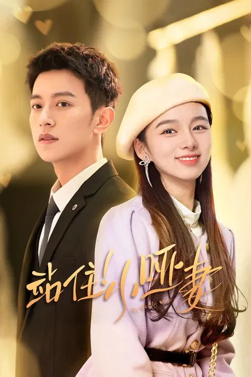 Download My Lovely Wife (Season 1) Hindi ORG Dubbed C Drama Series 480p 720p & 1080p WEB DL 5 my lovely wife season 1