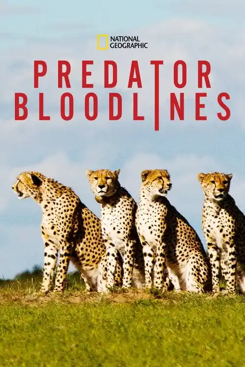 Download Predator Bloodlines (2021) Season 1 Hindi Complete DSNP WEB Series 480p | 720p HDRip 8 predator bloodlines 2021