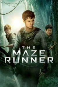 the maze runner 2014