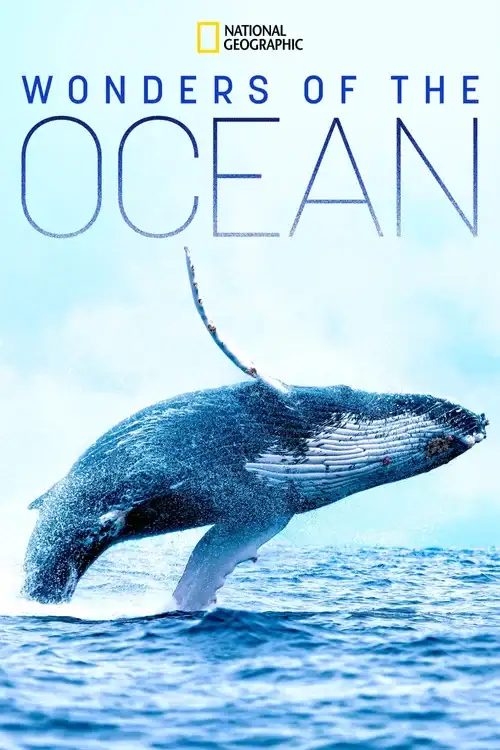 Download Wonders of the Ocean (2021) Season 1 Hindi Complete DSNP WEB Series 480p | 720p HDRip 6 wonders of the ocean 2021
